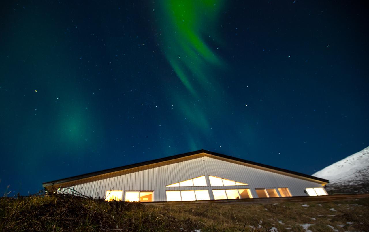 Arctic Panorama Lodge Uløybukta Kültér fotó