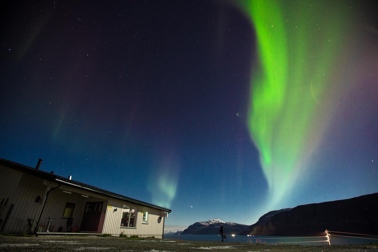 Arctic Panorama Lodge Uløybukta Kültér fotó