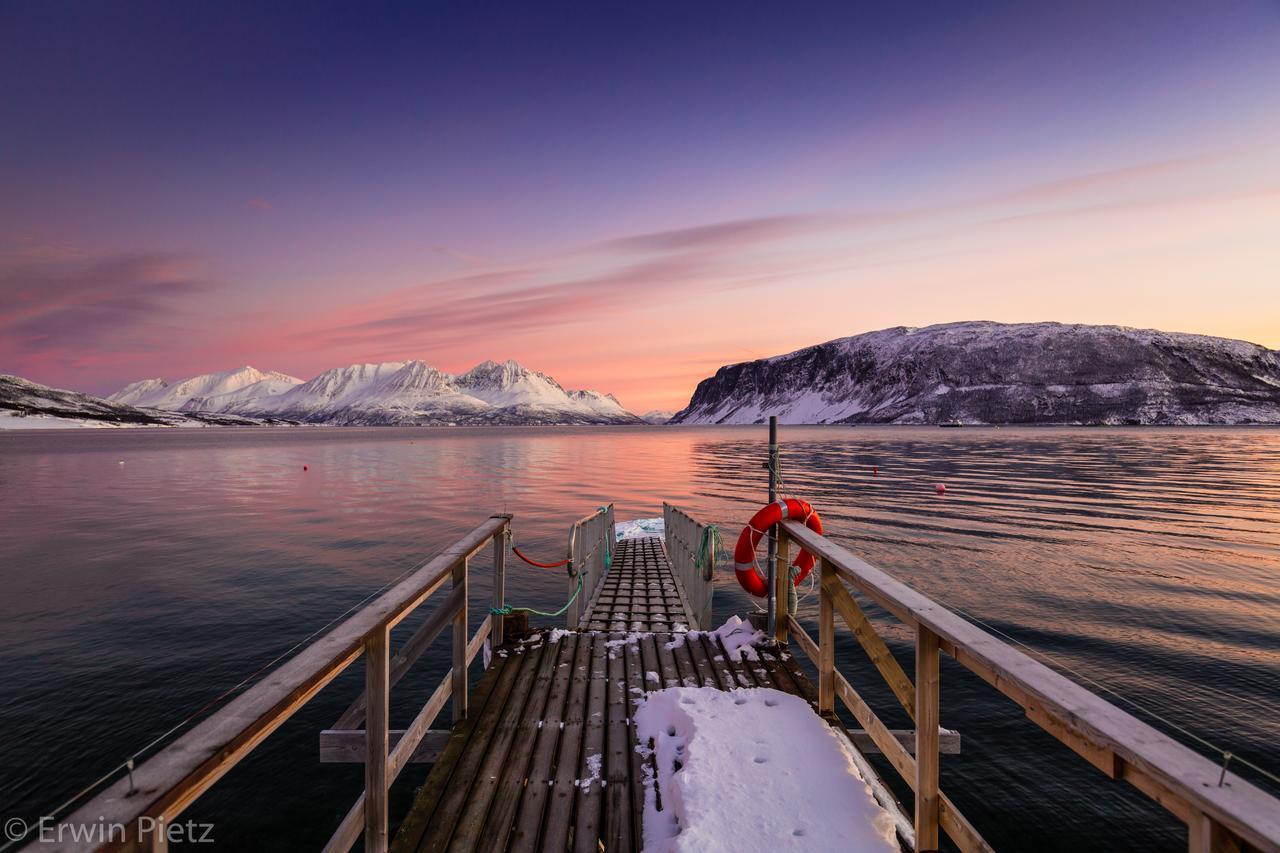 Arctic Panorama Lodge Uløybukta Kültér fotó